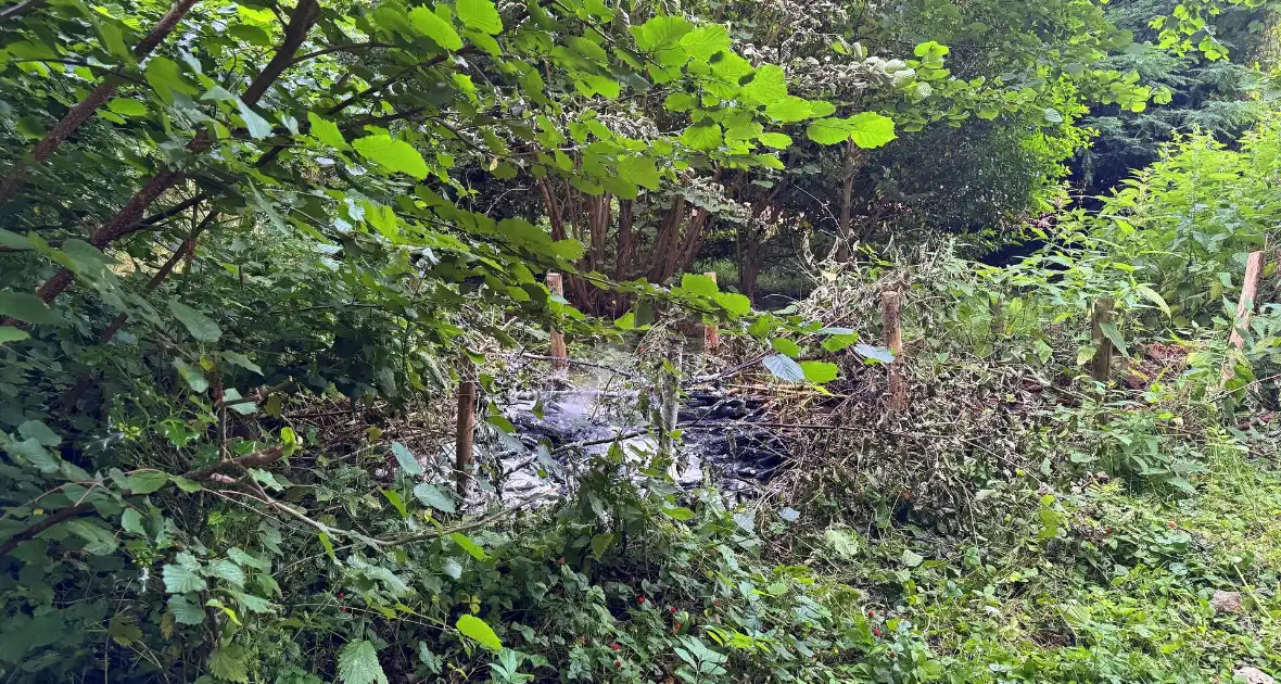 Passanten blussen brand in bosschages - Foto 3
