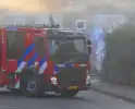 Rookontwikkeling bij brand in bosschages