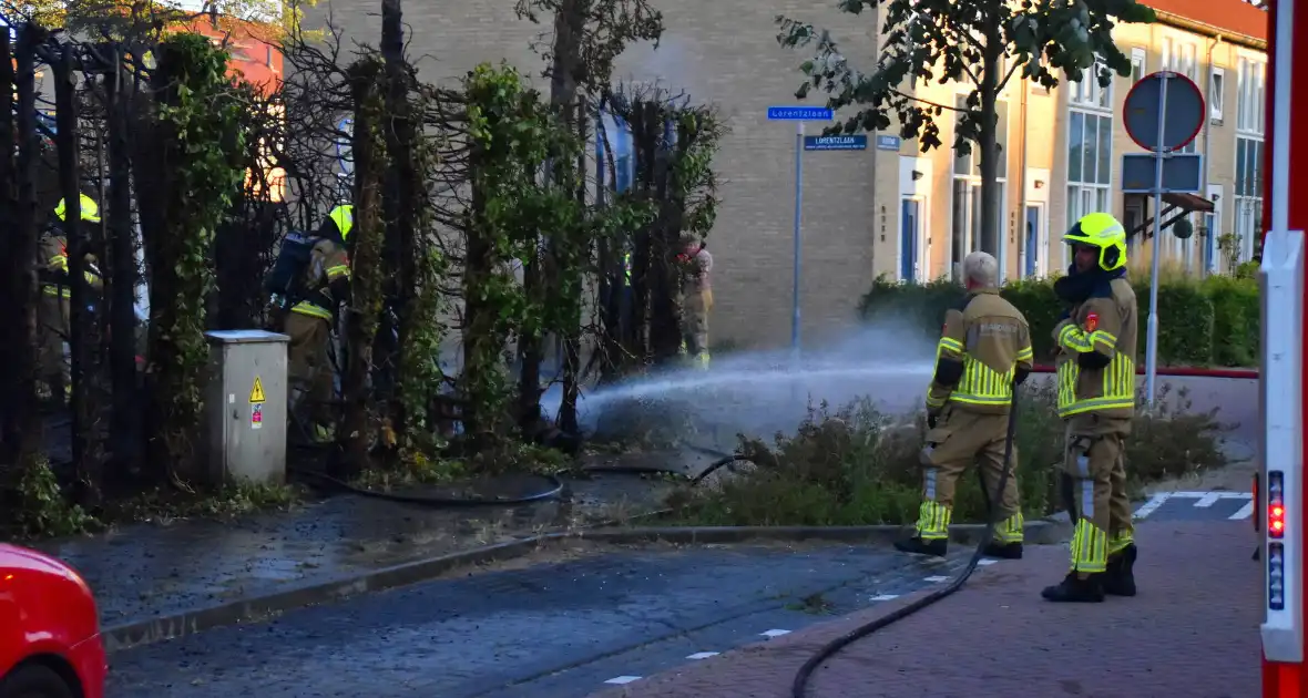 Rookontwikkeling bij brand in bosschages - Foto 3