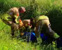 Brandweer onderzoekt gedumpte vaten
