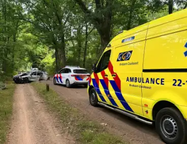 Beschonken bestuurder richt ravage aan