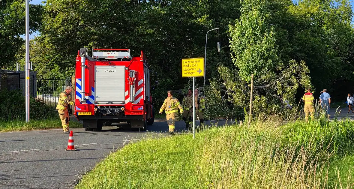 Omgevallen boom blokkeert weg en beschadigt lantaarnpaal