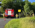 Omgevallen boom blokkeert weg en beschadigt lantaarnpaal