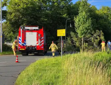Omgevallen boom blokkeert weg en beschadigt lantaarnpaal