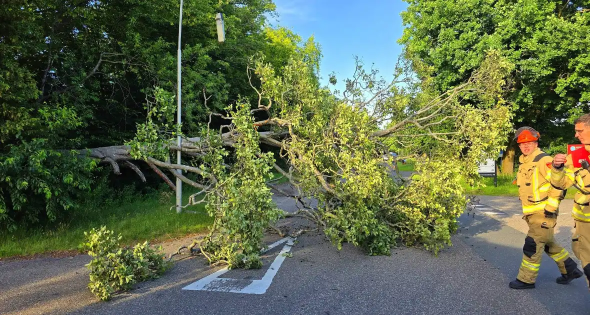 Omgevallen boom blokkeert weg en beschadigt lantaarnpaal - Foto 2
