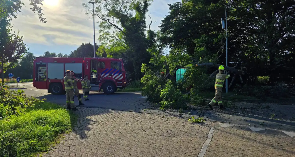Omgevallen boom blokkeert weg en beschadigt lantaarnpaal - Foto 3
