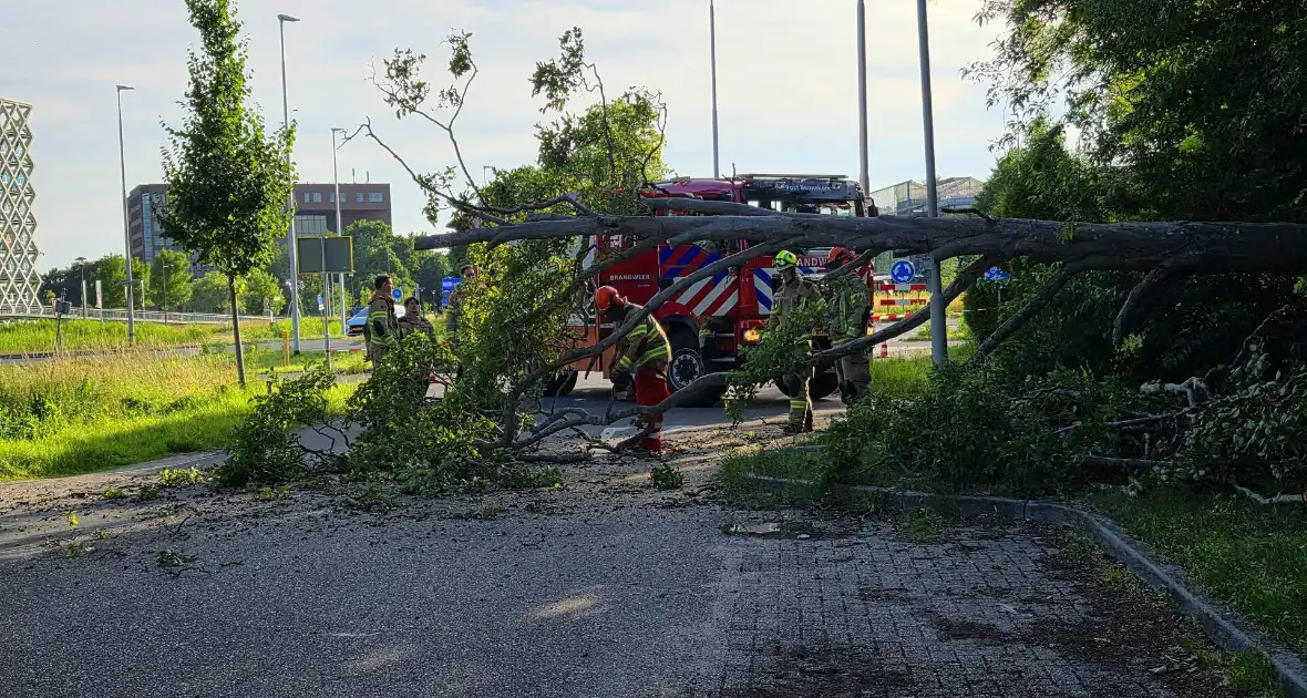 Omgevallen boom blokkeert weg en beschadigt lantaarnpaal - Foto 5