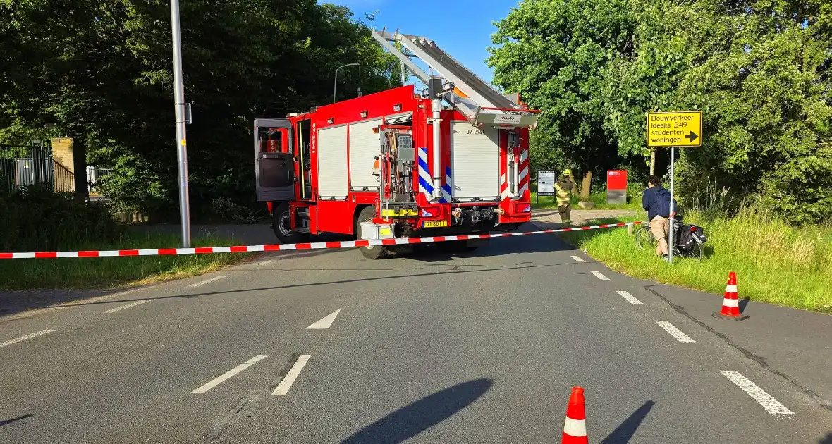 Omgevallen boom blokkeert weg en beschadigt lantaarnpaal - Foto 6