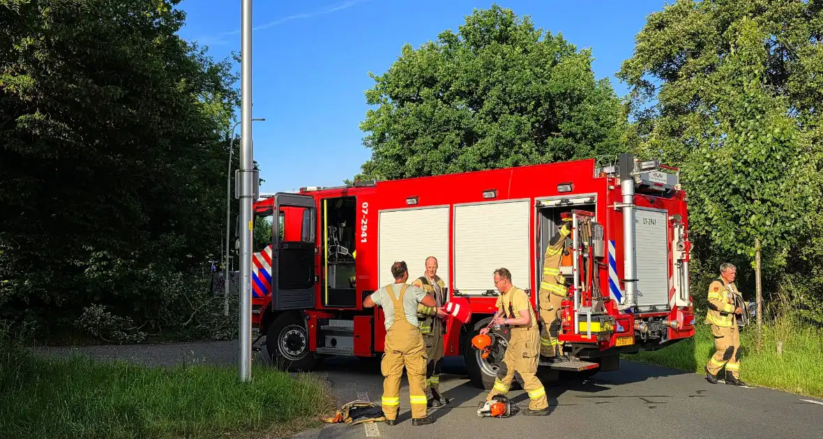 Omgevallen boom blokkeert weg en beschadigt lantaarnpaal - Foto 8