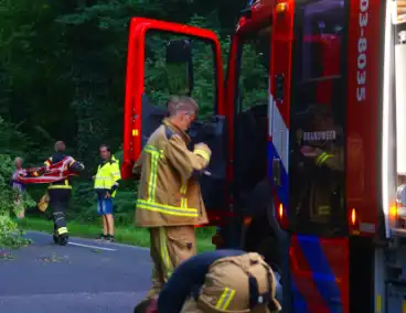 N373 afgesloten vanwege tak over de weg