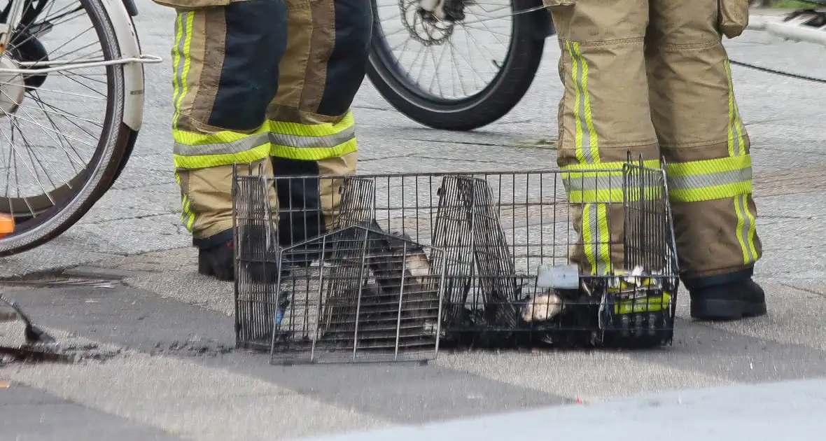 Winkelbrand vergt snelle hulpverlening