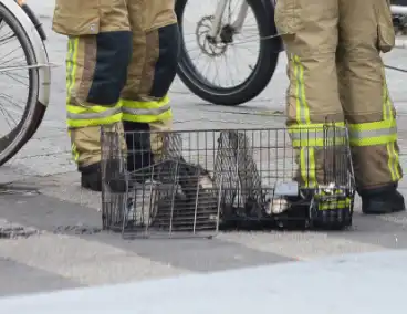 Winkelbrand vergt snelle hulpverlening