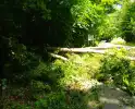 Boom blokkeert weg door stormschade