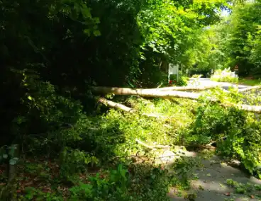 Boom blokkeert weg door stormschade