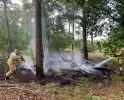 Bosbrand snel onder controle na brandweeractie