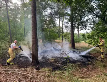 Bosbrand snel onder controle na brandweeractie