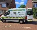 Zwaluw door brandweer bevrijdt uit nestkast
