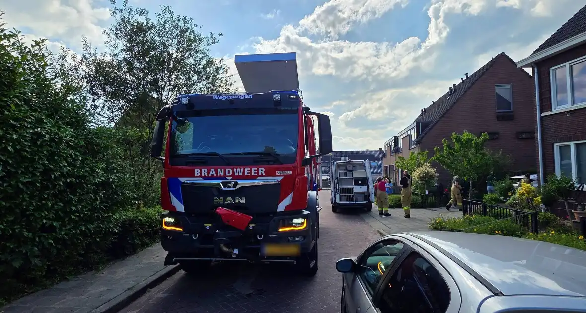 Zwaluw door brandweer bevrijdt uit nestkast - Foto 2