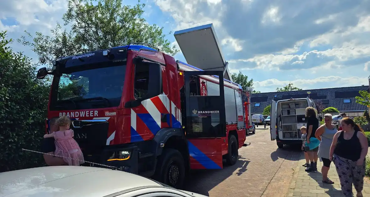 Zwaluw door brandweer bevrijdt uit nestkast - Foto 4