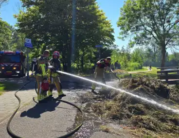 Rietbrand effectief geblust door brandweer