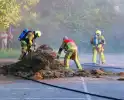 Berg gras in brand