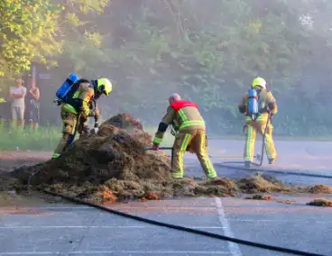 Berg gras in brand