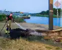 Mogelijke brandstichting bij boomstronk