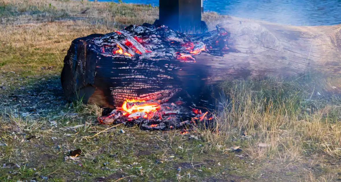 Mogelijke brandstichting bij boomstronk - Foto 3