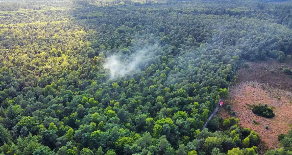 Brandweer pakt heidebrand aan - Foto 6