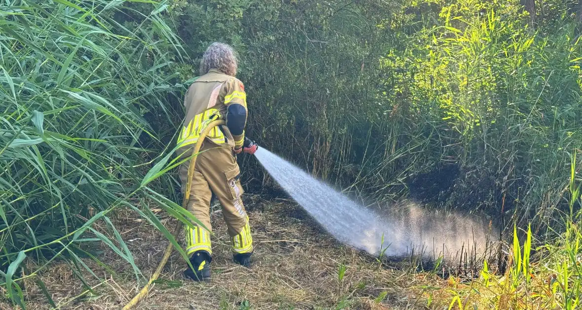 Omstander helpt brandweer met blussen van brand in bosschage