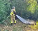 Omstander helpt brandweer met blussen van brand in bosschage