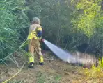 Omstander helpt brandweer met blussen van brand in bosschage