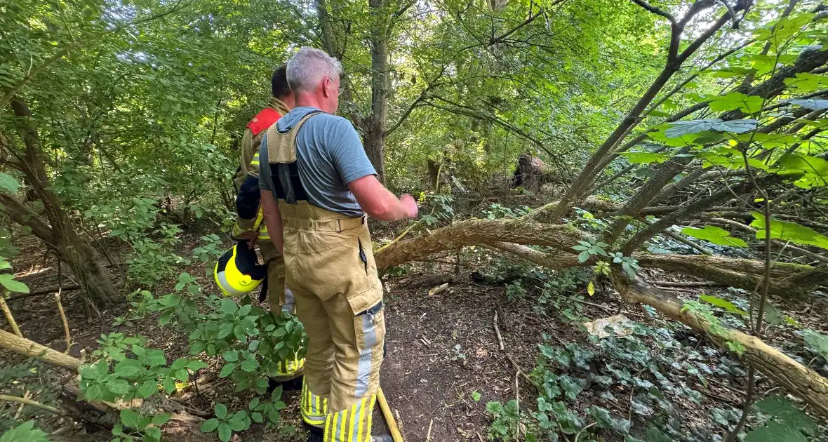 Omstander helpt brandweer met blussen van brand in bosschage - Foto 4