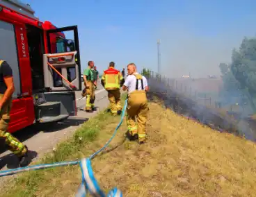 Brand in berm en struikgewas