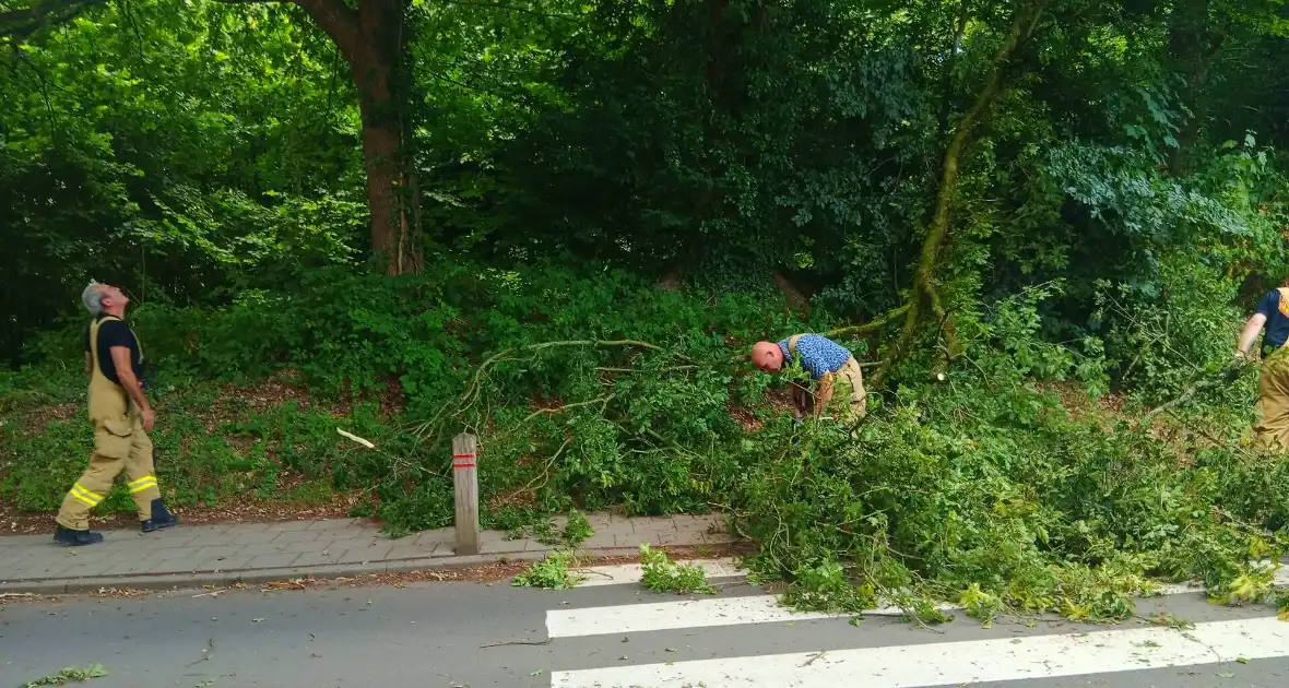 Stormschade zorgt voor gevaar op de weg
