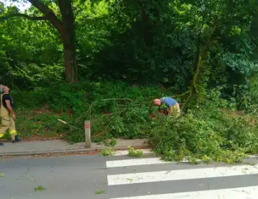 Stormschade zorgt voor gevaar op de weg