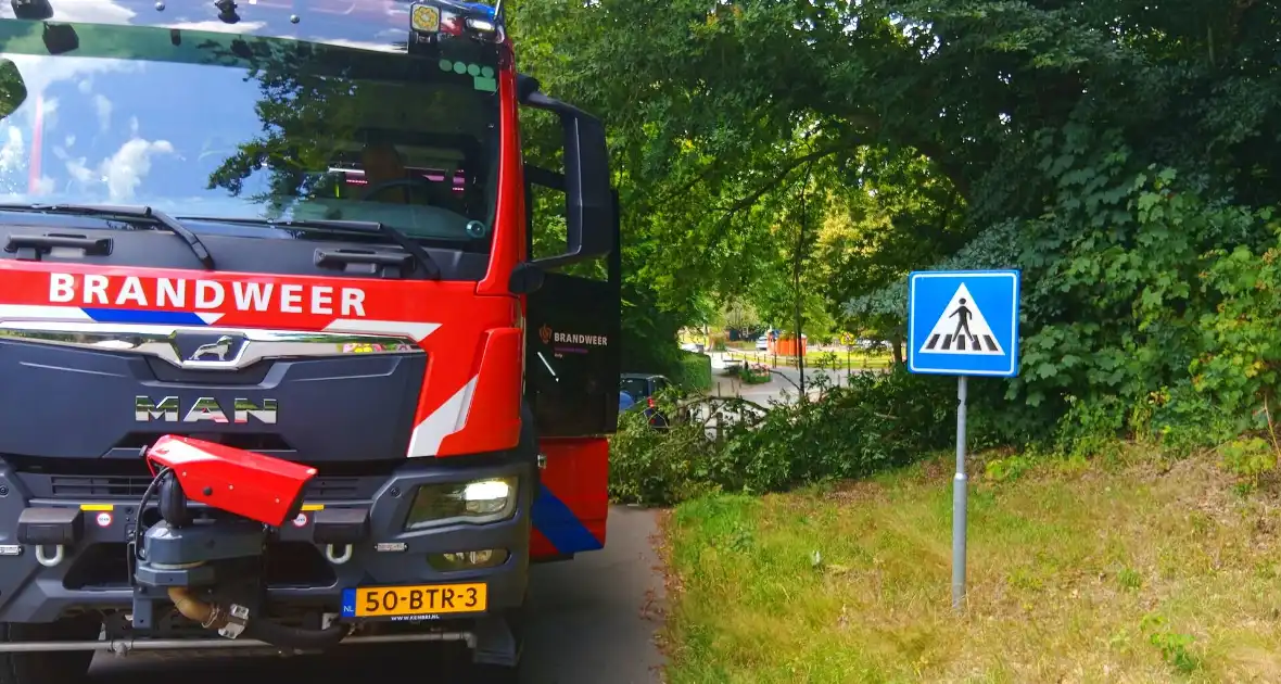 Stormschade zorgt voor gevaar op de weg - Foto 5