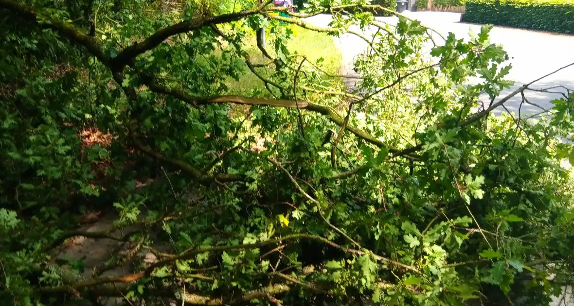 Stormschade zorgt voor gevaar op de weg - Foto 6