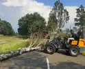 Boom blokkeert weg na storm