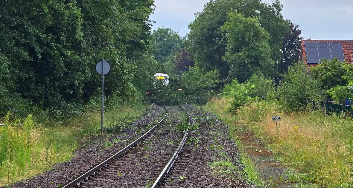 Trein stuit op boom op spoor