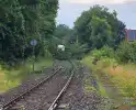 Trein stuit op boom op spoor