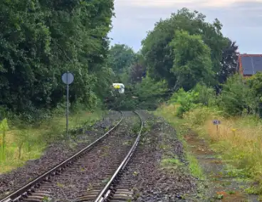 Trein stuit op boom op spoor