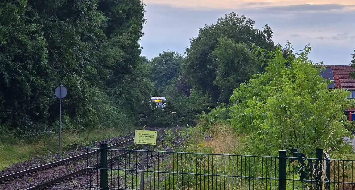 Trein stuit op boom op spoor - Foto 1