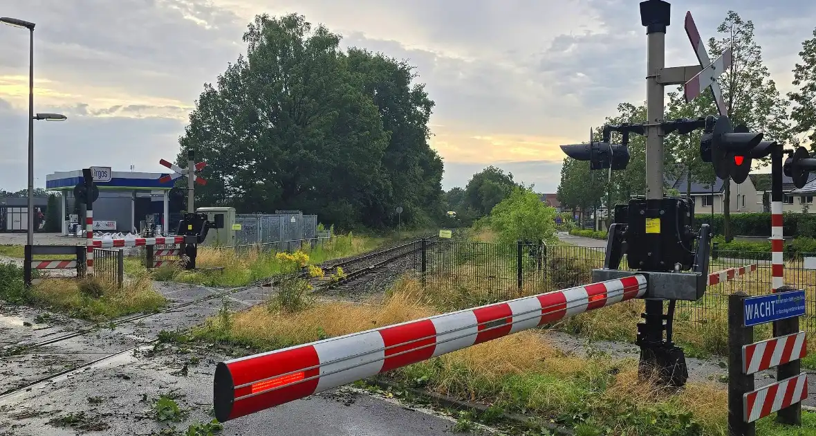Trein stuit op boom op spoor - Foto 2