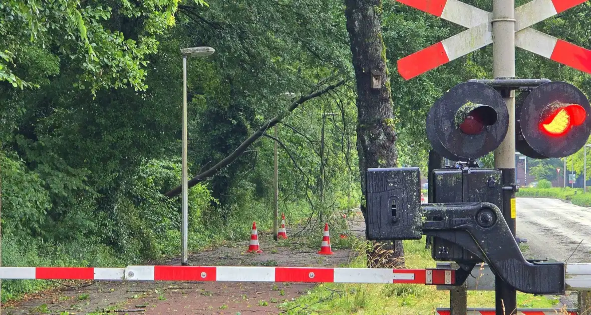 Trein stuit op boom op spoor - Foto 3