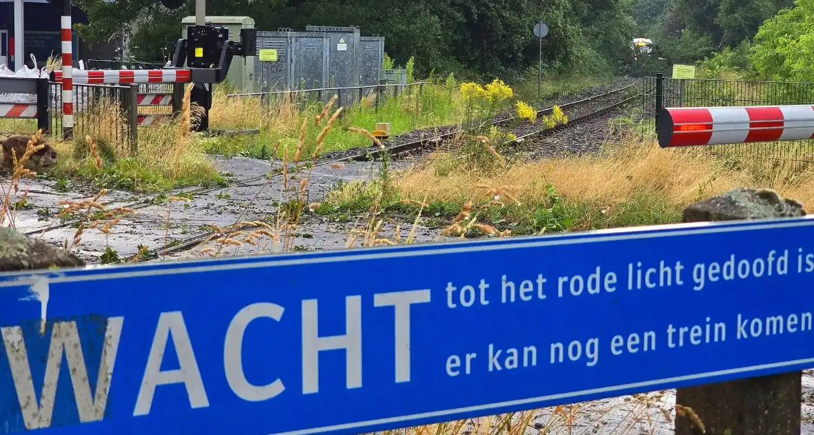 Trein stuit op boom op spoor - Foto 4