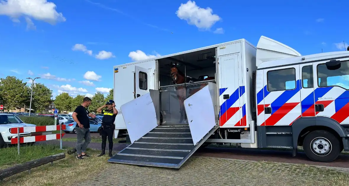 Diverse teams bij oefening in actie - Foto 4