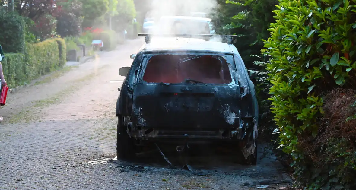 Voertuigbrand snel geblust - Foto 1