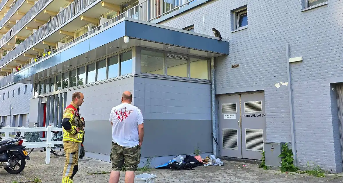 Spannend avontuur voor kat - Foto 5