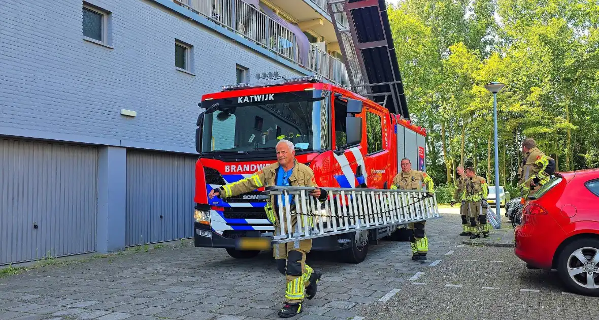 Spannend avontuur voor kat - Foto 6